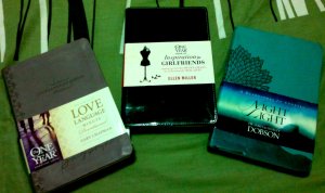 Three books from hubby! (pre-Valentine gift!) :)