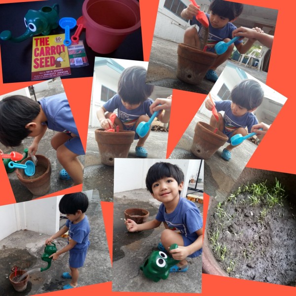 Planting carrot seeds. :) There are carrot sprouts now! :)